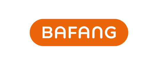 Bafang electric bike engine supplier