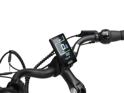 Veloci Solid (Black Metallic) Outlet