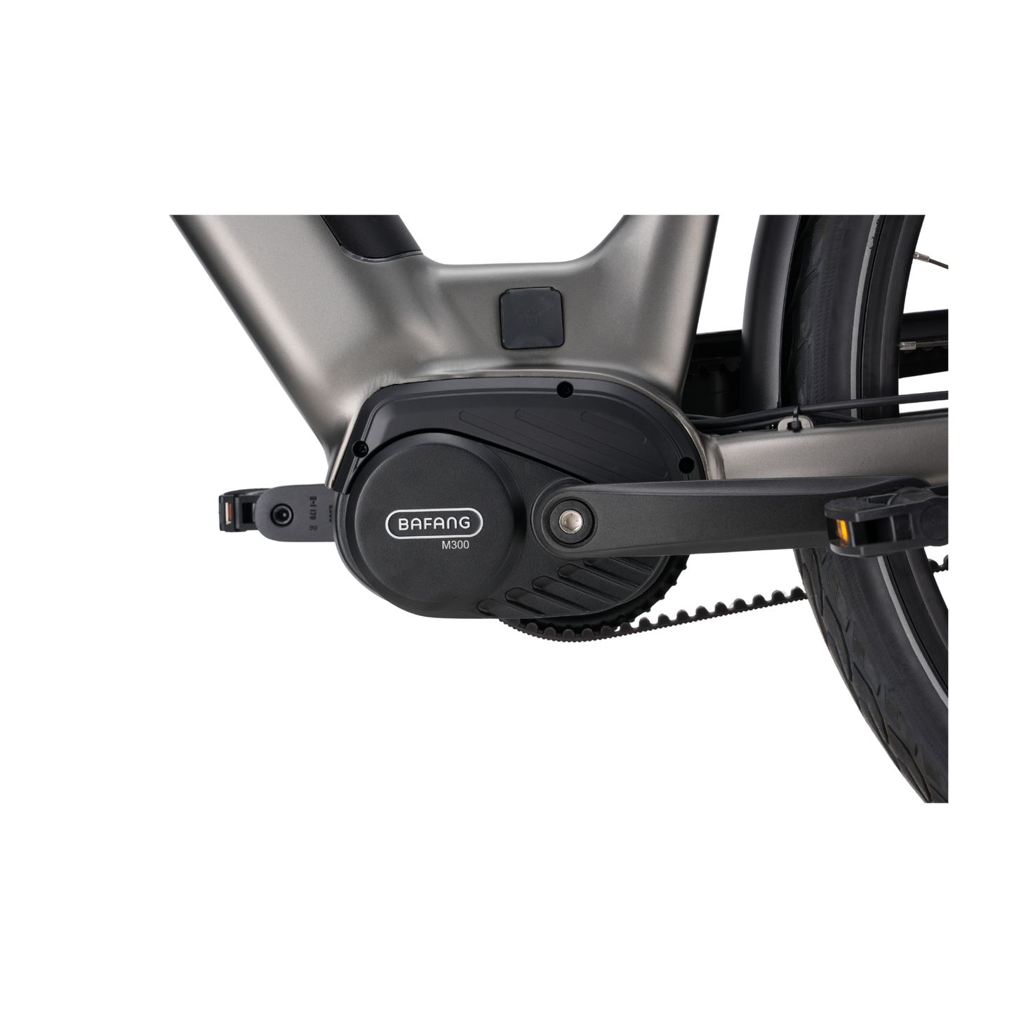 Veloci Solid Plus 2026