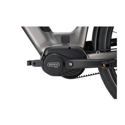 Veloci Solid Plus 2026