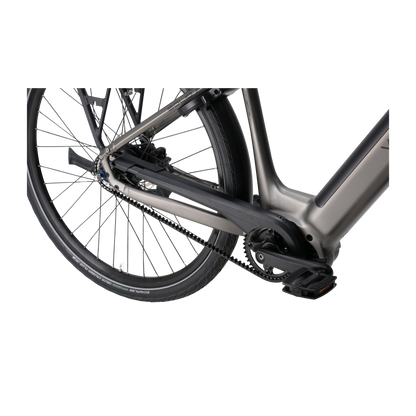 Veloci Solid Plus 2026