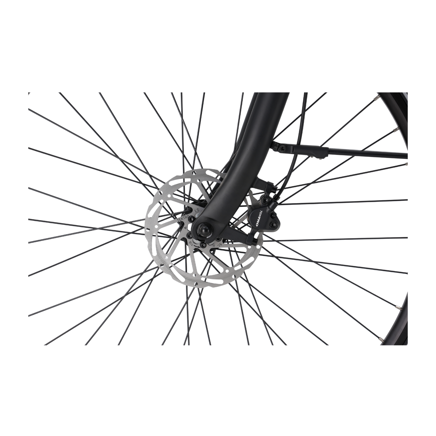 Veloci Solid Plus 2026