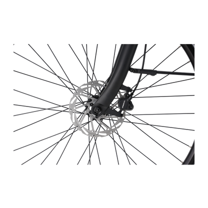 Veloci Solid Plus 2026